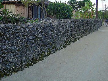 20041228_t060_thumb.jpg