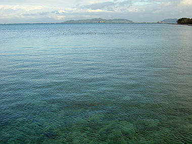 20041228_t140_thumb.jpg
