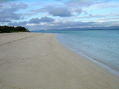 20041228_t170_thumb.jpg