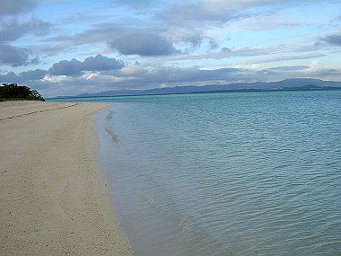 20041228_t180_thumb.jpg