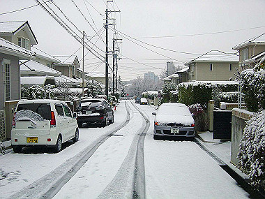 20041231_010_thumb.jpg