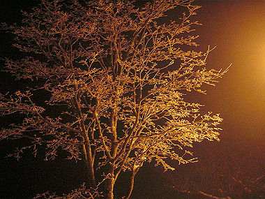 20050101_250_thumb.jpg
