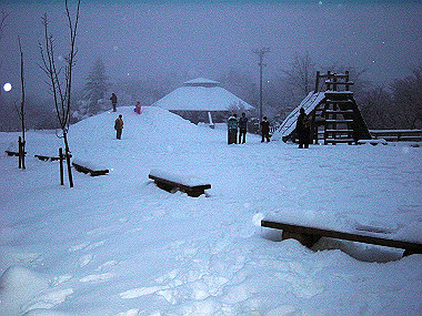 20050101_340_thumb.jpg
