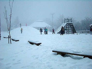 20050101_350_thumb.jpg