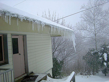 20050101_370_thumb.jpg