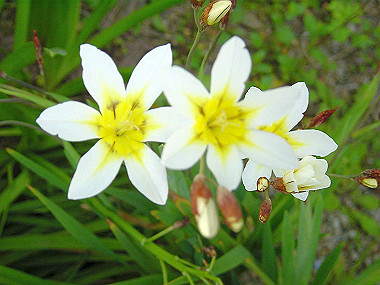20050424_170_thumb.jpg