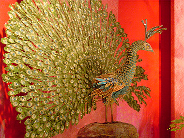 20050430-dsc00155_thumb.jpg