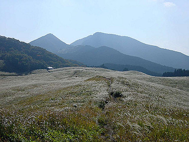 20051104_150_thumb.jpg