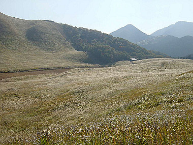 20051104_180_thumb.jpg