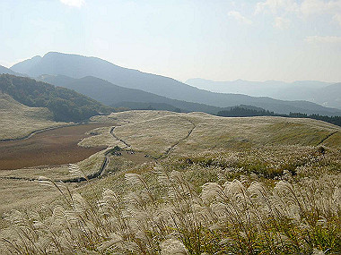 20051104_250_thumb.jpg