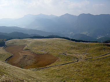 20051104_310_thumb.jpg