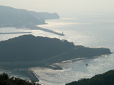 20051128_030_thumb.jpg