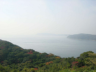 20051128_040_thumb.jpg