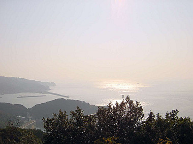 20051128_080_thumb.jpg