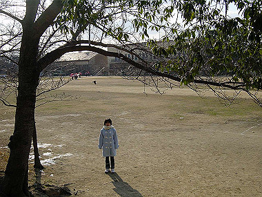 20051223_050_thumb.jpg