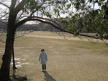 20051223_060_thumb.jpg