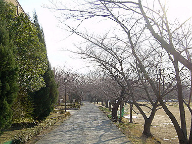 20051223_070_thumb.jpg