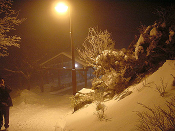 20050101_260_thumb.jpg