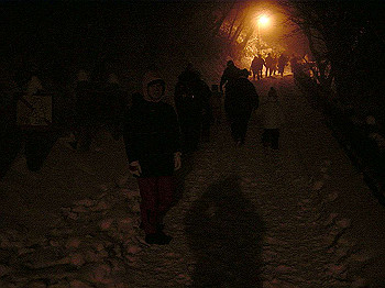 20050101_270_thumb.jpg