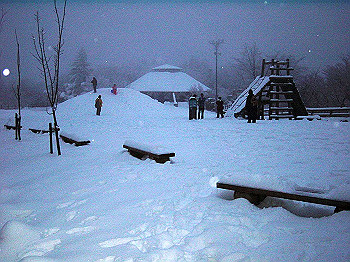 20050101_340_thumb.jpg