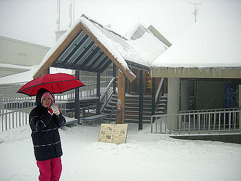 20050101_380_thumb.jpg