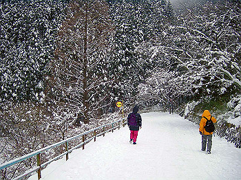 20050101_400_thumb.jpg