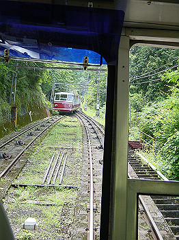 20050626_070_thumb.jpg