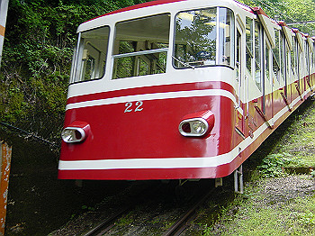 20050626_080_thumb.jpg