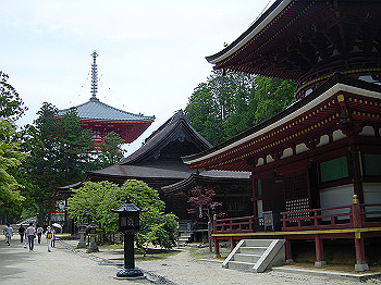 20050626_130_thumb.jpg