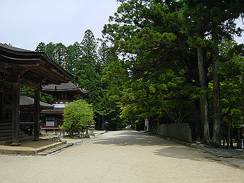 20050626_210_thumb.jpg