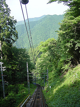 20050626_240_thumb.jpg