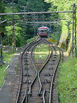 20050626_260_thumb.jpg