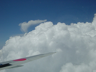 20050828_140_thumb.jpg