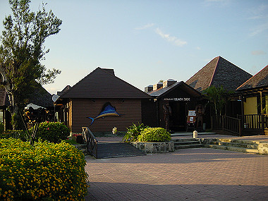 20050828_460_thumb.jpg