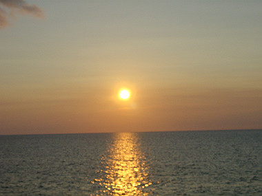 20050828_470_thumb.jpg