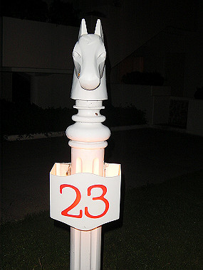 20050828_530_thumb.jpg