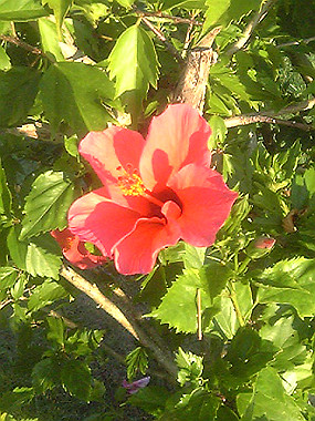 20050828_e10_thumb.jpg