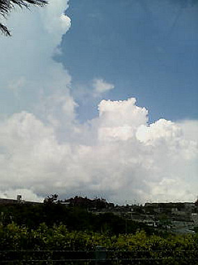 20050828_t15_thumb.jpg