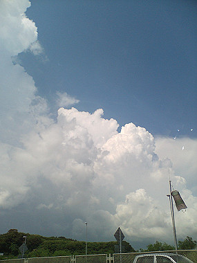 20050828_t25_thumb.jpg