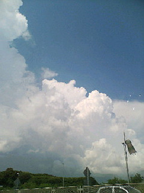 20050828_t30_thumb.jpg