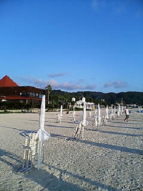 20050828_t35_thumb.jpg