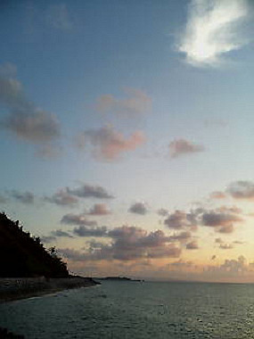 20050828_t50_thumb.jpg