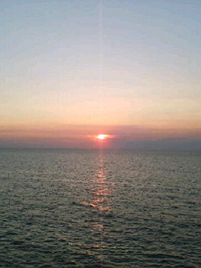 20050828_t55_thumb.jpg