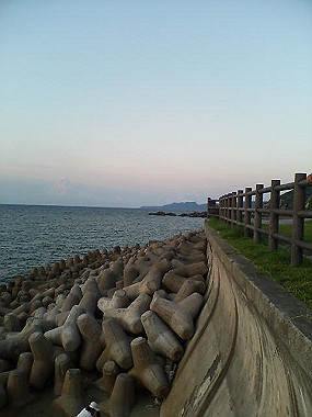 20050828_t60_thumb.jpg