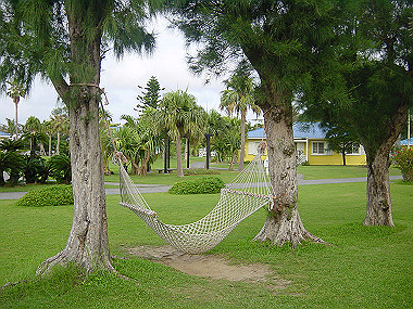 20050829_040_thumb.jpg