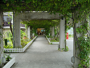 20050829_050_thumb.jpg
