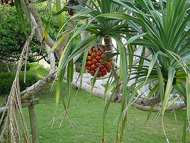 20050829_090_thumb.jpg