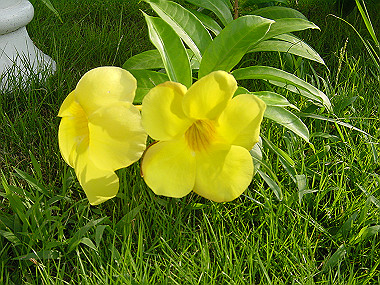 20050829_130_thumb.jpg
