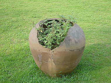 20050829_140_thumb.jpg