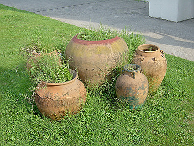 20050829_150_thumb.jpg